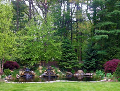 Pond | Fish Pond Installation and Repair in  Avon, MA