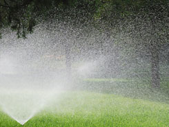 Radius Spraying Sprinkler | Lawn Maintenance in Avon, MA