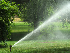 Straight Shooting Sprinklers | Landscaping and Irrigation Services in Avon, MA
