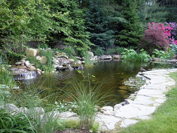 Full Pond View | Water Gardens in Avon, MA